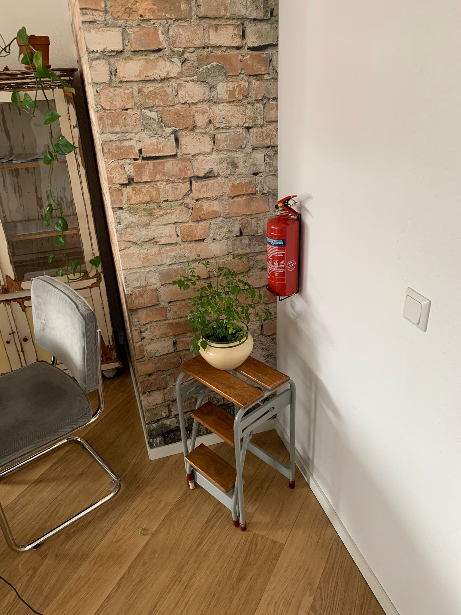 ab54c418-9759-4523-b2d1-1f6e6e19eae1